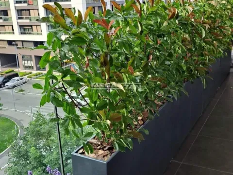 Sale, three bedroom apartment, 83m², Novi Beograd Blok 65, Novi Beograd Sve Podlokacije - image 18