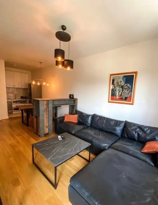 Izdavanje, jednosoban stan, 47m², Central Point, Podgorica