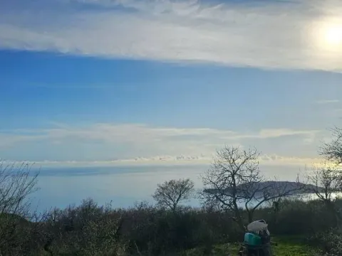 Prodaja, plac, 2525m², Kuljače, Budva - image 3