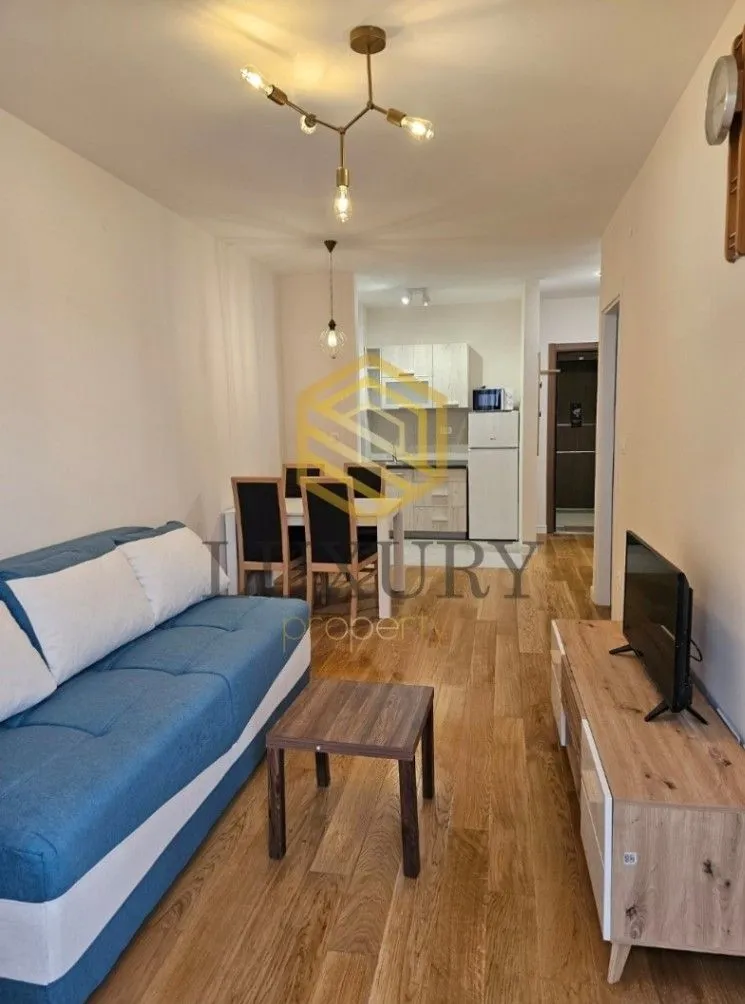 Izdavanje, jednosoban stan, 41m², Central Point, Podgorica