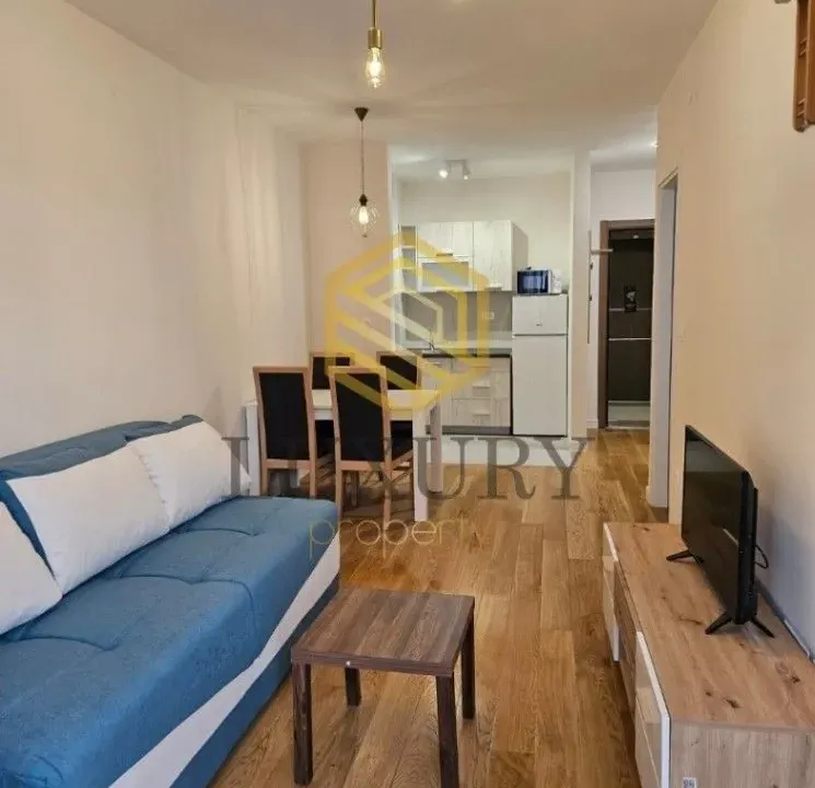 Izdavanje, jednosoban stan, 41m², Central Point, Podgorica