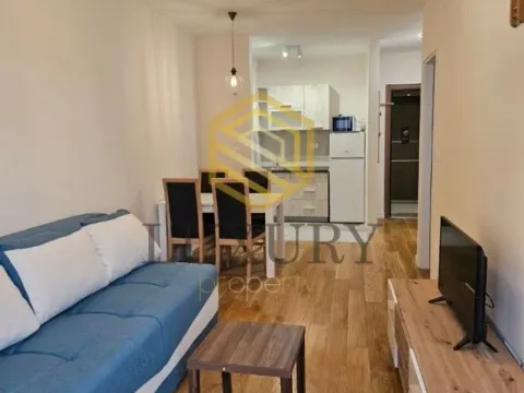 Izdavanje, jednosoban stan, 41m², Central Point, Podgorica