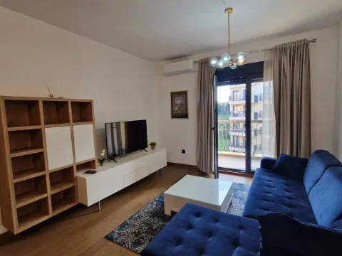 Rent, one bedroom apartment, 48m², Ljubović, Podgorica - image 2