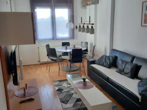 Izdavanje, jednosoban stan, 42m², Grbavica, Novi Sad Sve Podlokacije - image 2