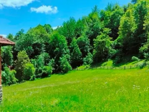 Sale, land lot, 30140m², Ulotina, Andrijevica - image 5