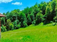 Sale, land lot, 30140m², Ulotina, Andrijevica - image 5