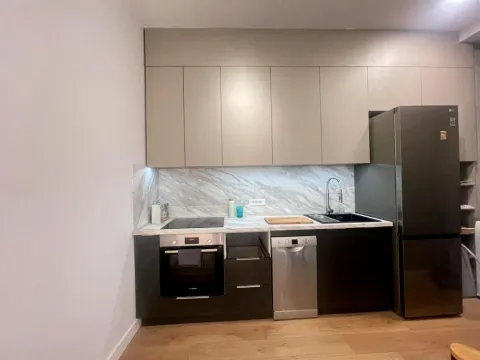 Rent, two bedroom apartment, 48m², Tašmajdan, Palilula Sve Podlokacije - image 9