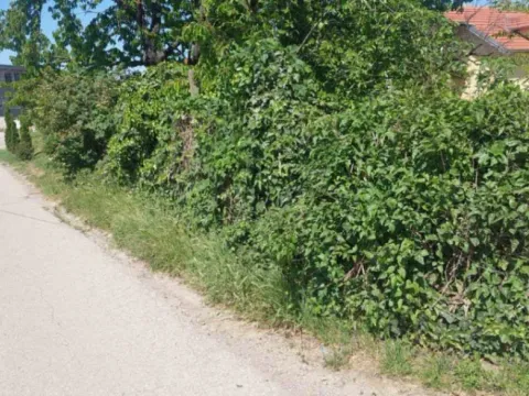 Sale, land lot, 751m², Novi Majur, Petrovaradin - image 3