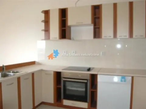 Izdavanje, stan, 300m², Savski Venac, Beograd - image 2