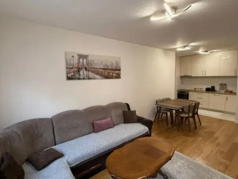 Izdavanje, jednosoban stan, 52m², Central Point, Podgorica - image 3