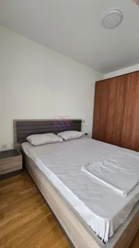 Izdavanje, jednosoban stan, 44m², Zagorič, Podgorica - image 10