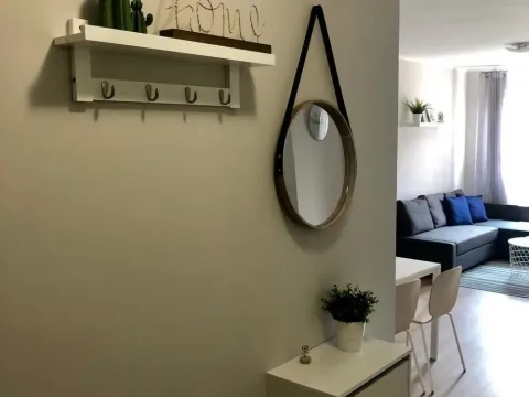 Izdavanje, dvosoban stan, 48m², Novi Beograd Sve Podlokacije, Beograd - image 7