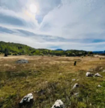 Sale, land lot, 45556m², Borje, Žabljak - image 11