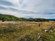 Prodaja, plac, 45556m², Borje, Žabljak - image 11