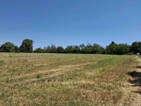 Sale, land lot, 10800m², Baničina, Smederevska Palanka - image 8