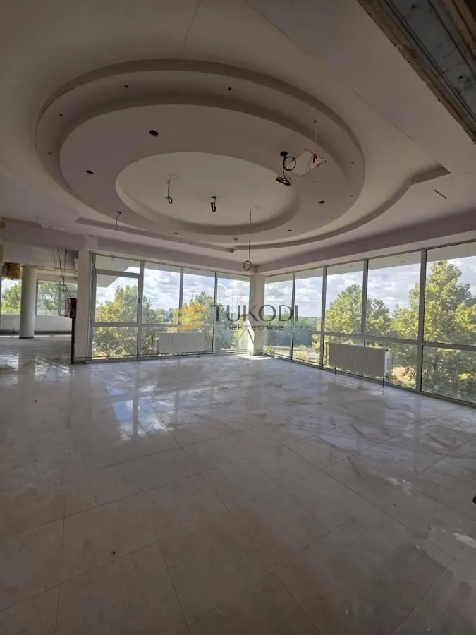 Rent, office space, 4597m², Šangaj, Novi Sad Sve Podlokacije