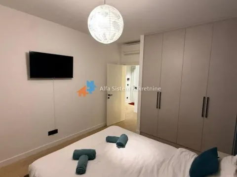 Izdavanje, dvosoban stan, 60m², Savski Venac, Beograd - image 8