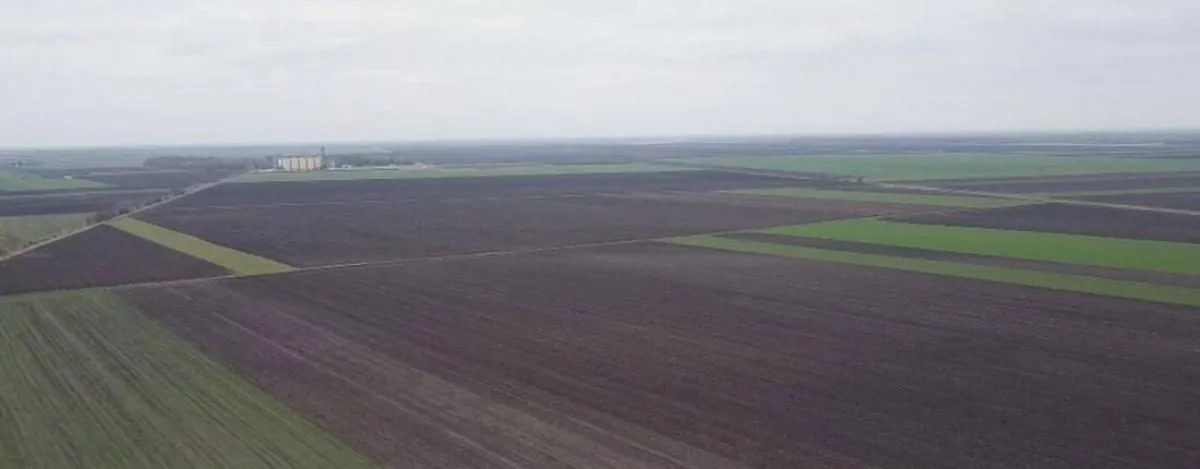 Sale, land lot, 9700m², Novi Karlovci, Inđija