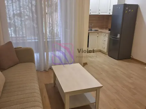 Sale, apartment, 31m², Golubovina, Budva - image 1