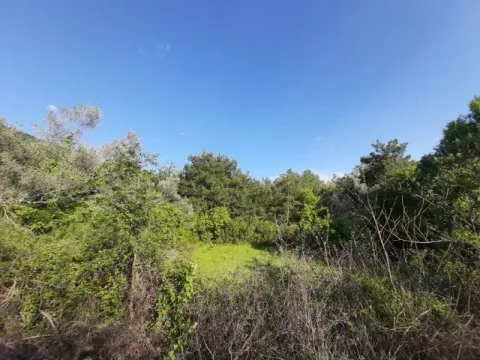 Sale, land lot, 350m², Kavač, Kotor - image 3