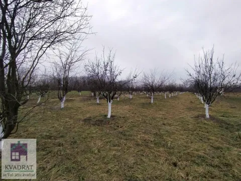 Prodaja, plac, 5800m², Banjani, Ub - image 6