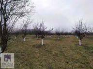 Prodaja, plac, 58m², Banjani, Ub - image 6