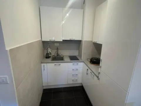 Rent, one bedroom apartment, 38m², Ljubović, Podgorica - image 3