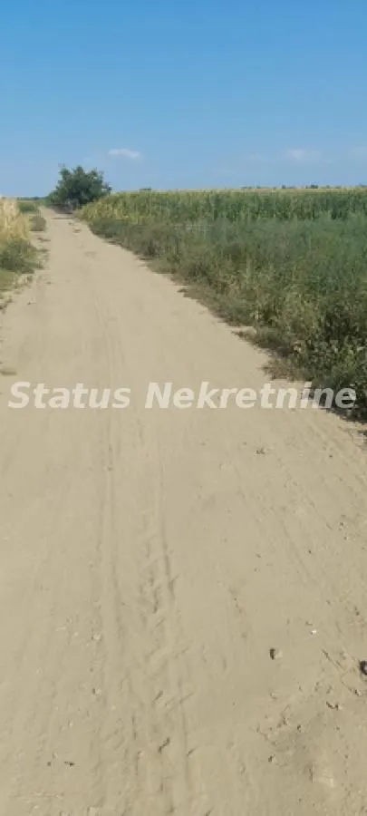 Prodaja, plac, 3600m², Futog, Novi Sad Sve Podlokacije