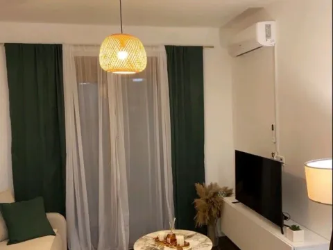 Izdavanje, jednosoban stan, 45m², Radanovići, Kotor - image 4