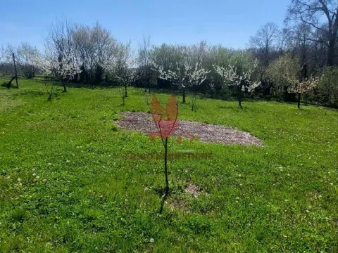 Sale, house, 75m², Mladenovac, Beograd - image 16