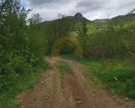 Prodaja, plac, 144000m², Kolašin, Crna Gora - image 2