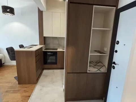 Rent, one bedroom apartment, 37m², Zabjelo, Podgorica - image 5