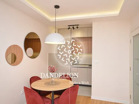 Izdavanje, jednosoban stan, 46m², Central Point, Podgorica - image 5