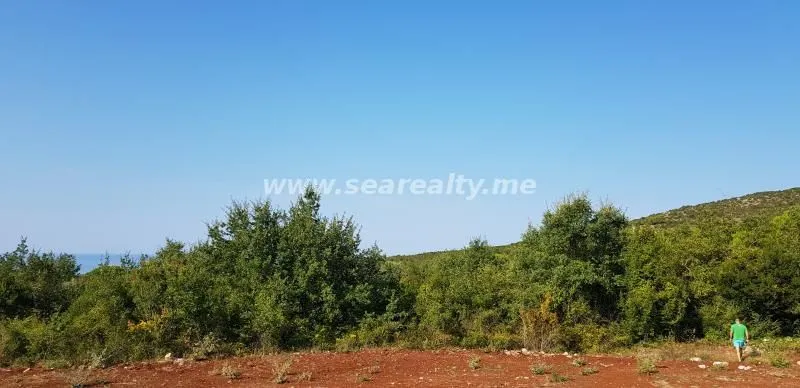 Prodaja, plac, 5600m², Krimovica, Kotor