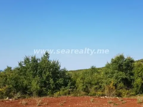 Prodaja, plac, 5600m², Krimovica, Kotor - image 8