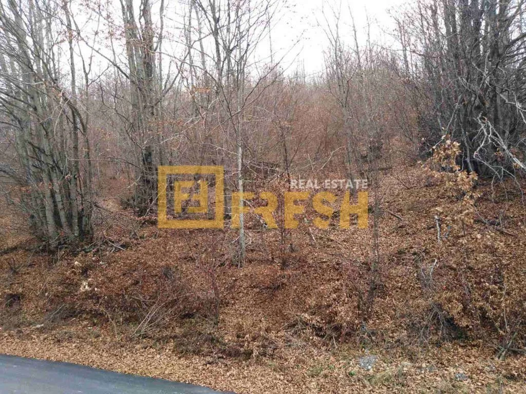 Prodaja, plac, 500m², Ostalo, Podgorica