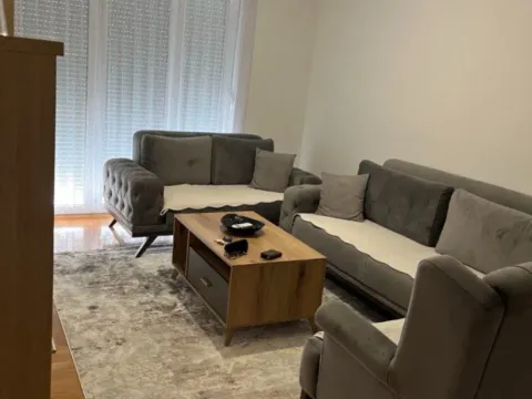 Izdavanje, jednosoban stan, 48m², Stari Aerodrom, Podgorica - image 2