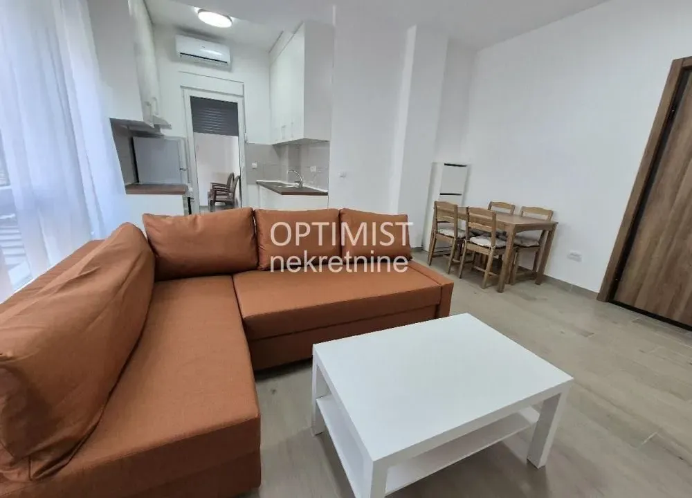 Izdavanje, dvosoban stan, 40m², Vračar Sve Podlokacije, Beograd