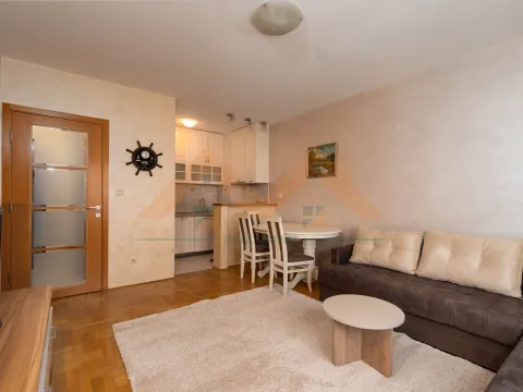 Izdavanje, jednosoban stan, 43m², Gintaš, Podgorica - image 4