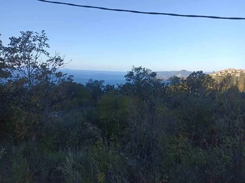 Pogled na more sa placa okruženog zelenilom.
