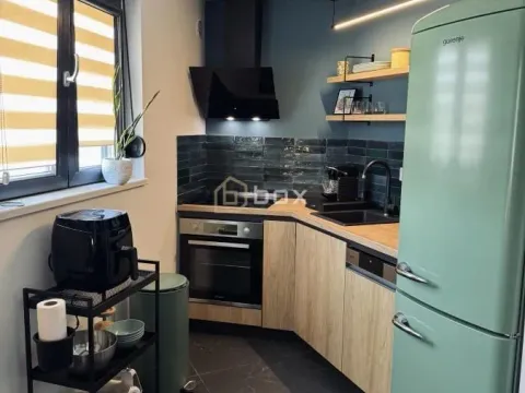 Rent, one bedroom apartment, 47m², Pantelej, Niš - image 3