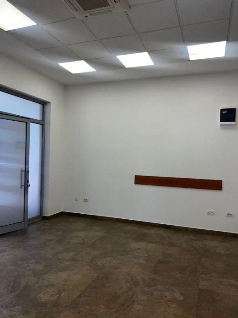 Rent, office space, 251m², Tološka šuma, Podgorica