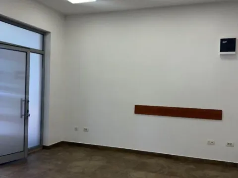 Rent, office space, 251m², Tološka šuma, Podgorica - image 9