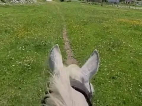 Prodaja, plac, 500m², Podgorica, Crna Gora - image 6