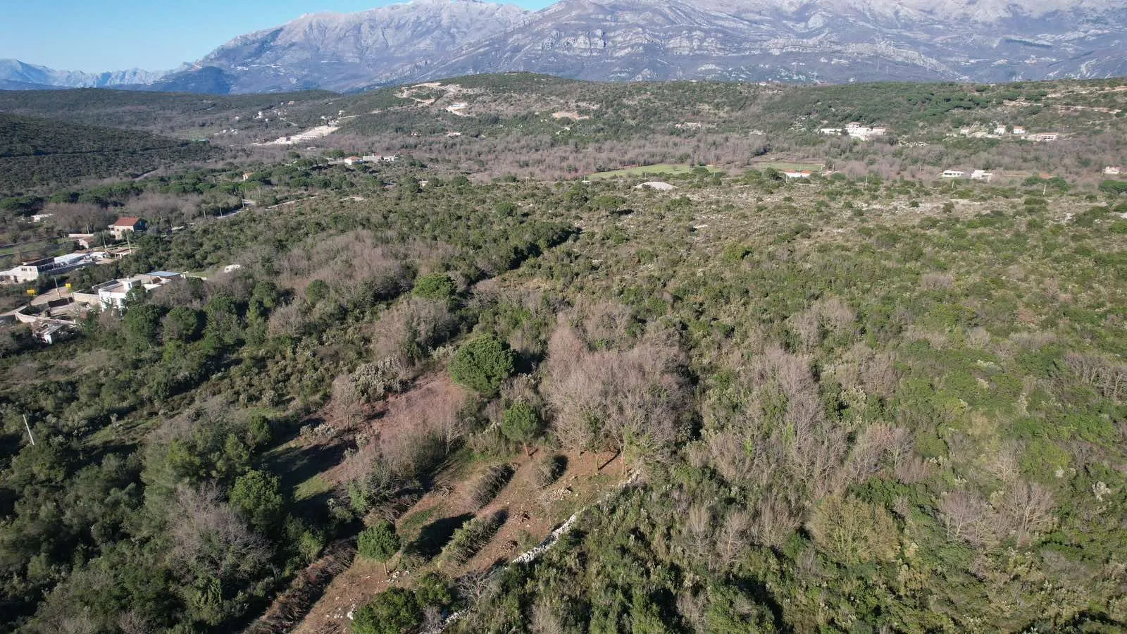 Prodaja, plac, 2450m², Krimovica, Kotor