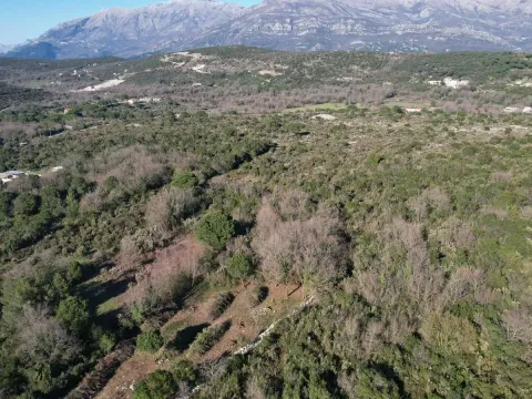 Prodaja, plac, 2450m², Krimovica, Kotor - image 25