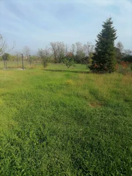 Prostran travnati plac sa drvećem pod vedrim nebom. - image 6