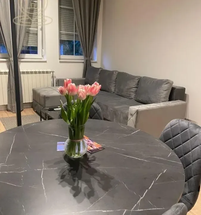 Izdavanje, jednosoban stan, 30m², Grbavica, Novi Sad Sve Podlokacije