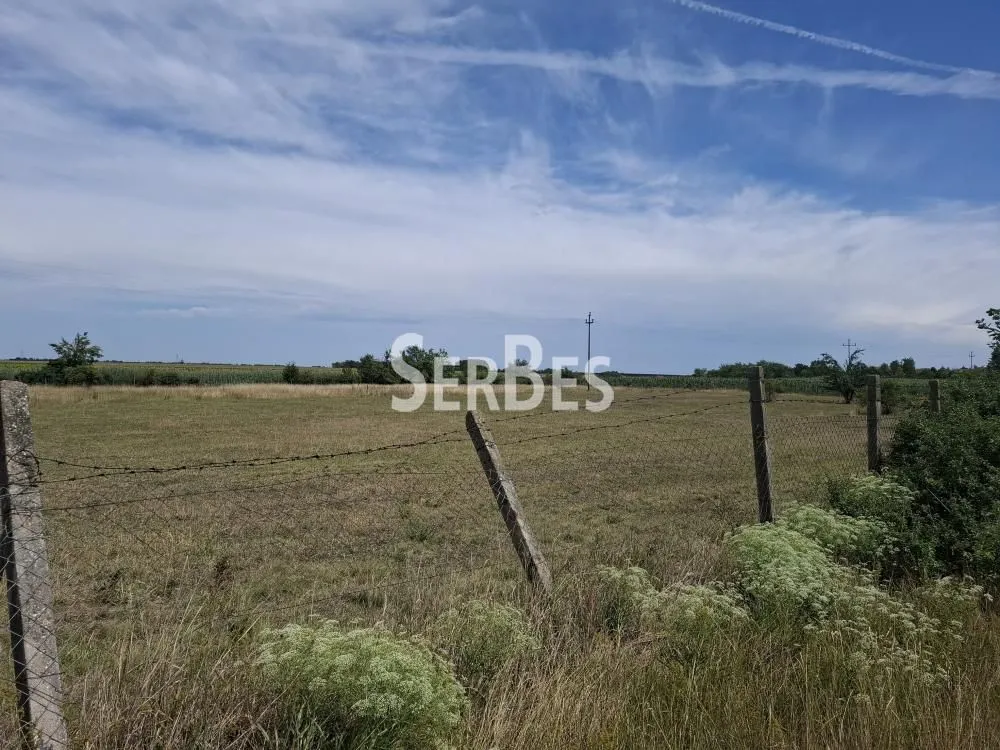 Prodaja, plac, 19197m², Čenej, Novi Sad Sve Podlokacije