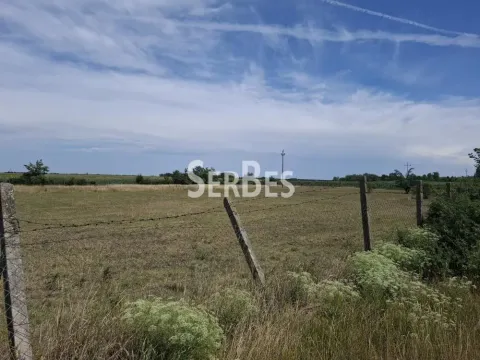 Prodaja, plac, 19197m², Čenej, Novi Sad Sve Podlokacije - image 8